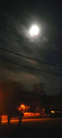 20211112 200435.LARGE