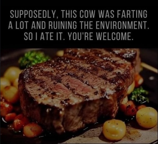 Cow Fart