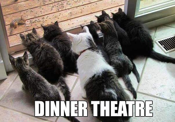 Dinner Theater