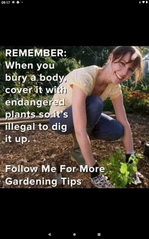 Good Gardening Tip