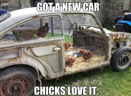 Got-A-New-Car-Chicks-Love-It