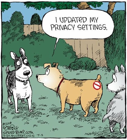 Privacy Update