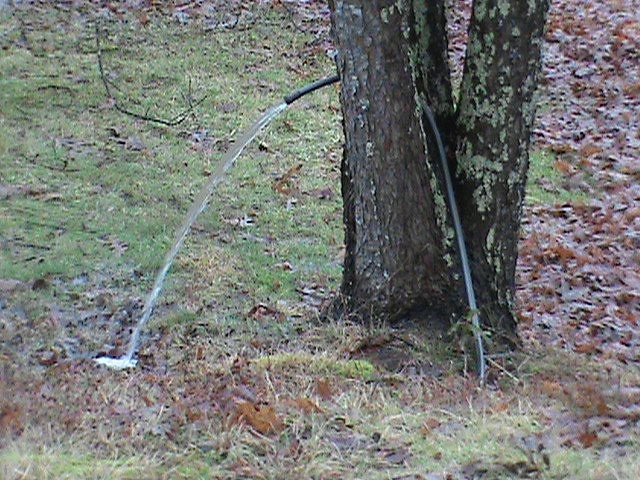 The Little Pump That Could