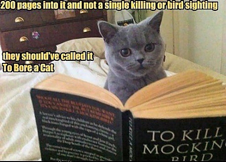 The Cat Book Critic