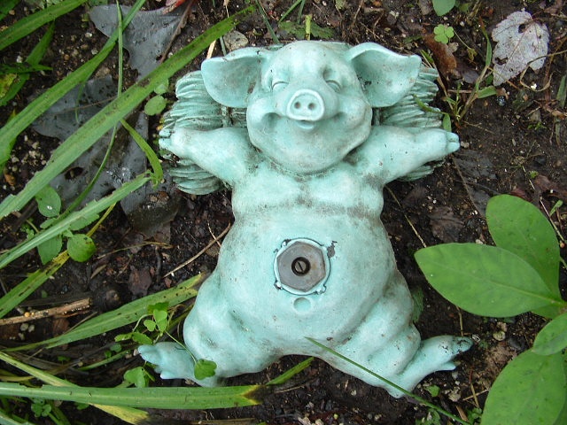 DSCF0004