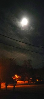 20211112 200435.LARGE