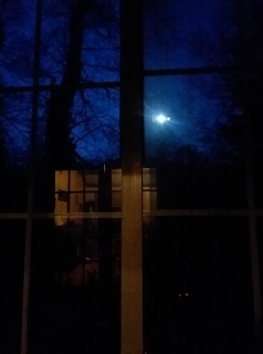 Full Moon Night