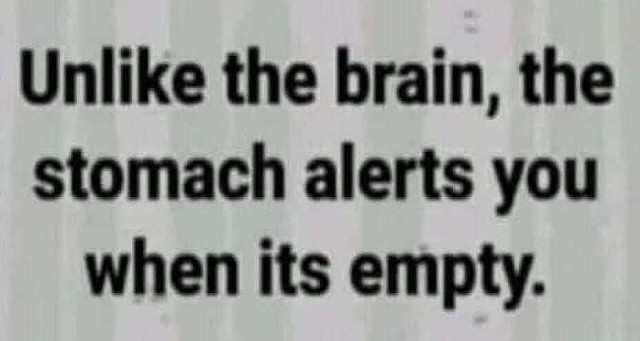 Brain Proverb