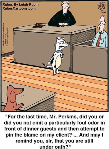 Dog Fart Lawyer