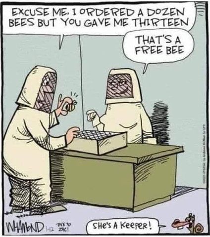 FreeBee