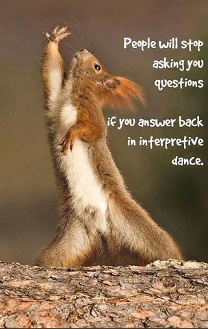 Interpretive Dance Squirrel