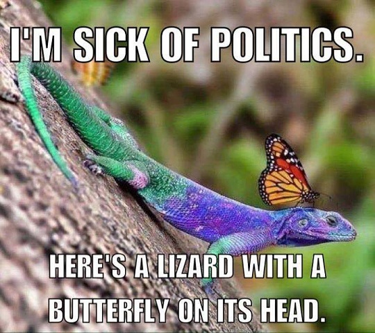 Sick Of Politics
