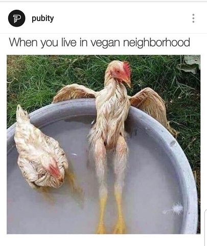 Vegan Neighborhood